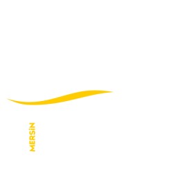 saflog